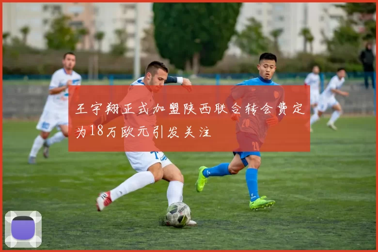 王宇翔正式加盟陕西联合转会费定为18万欧元引发关注