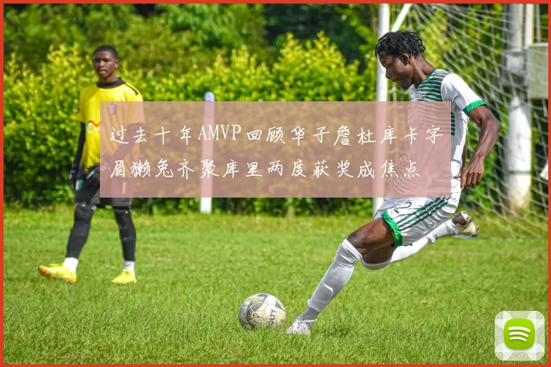 过去十年AMVP回顾华子詹杜库卡字眉獭兔齐聚库里两度获奖成焦点